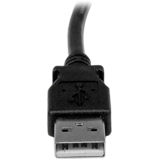252297781.jpg
