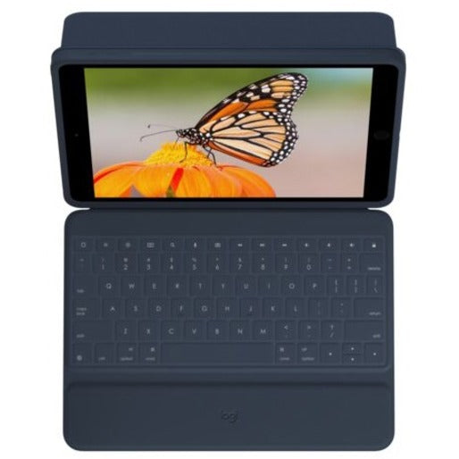 252304917.jpg