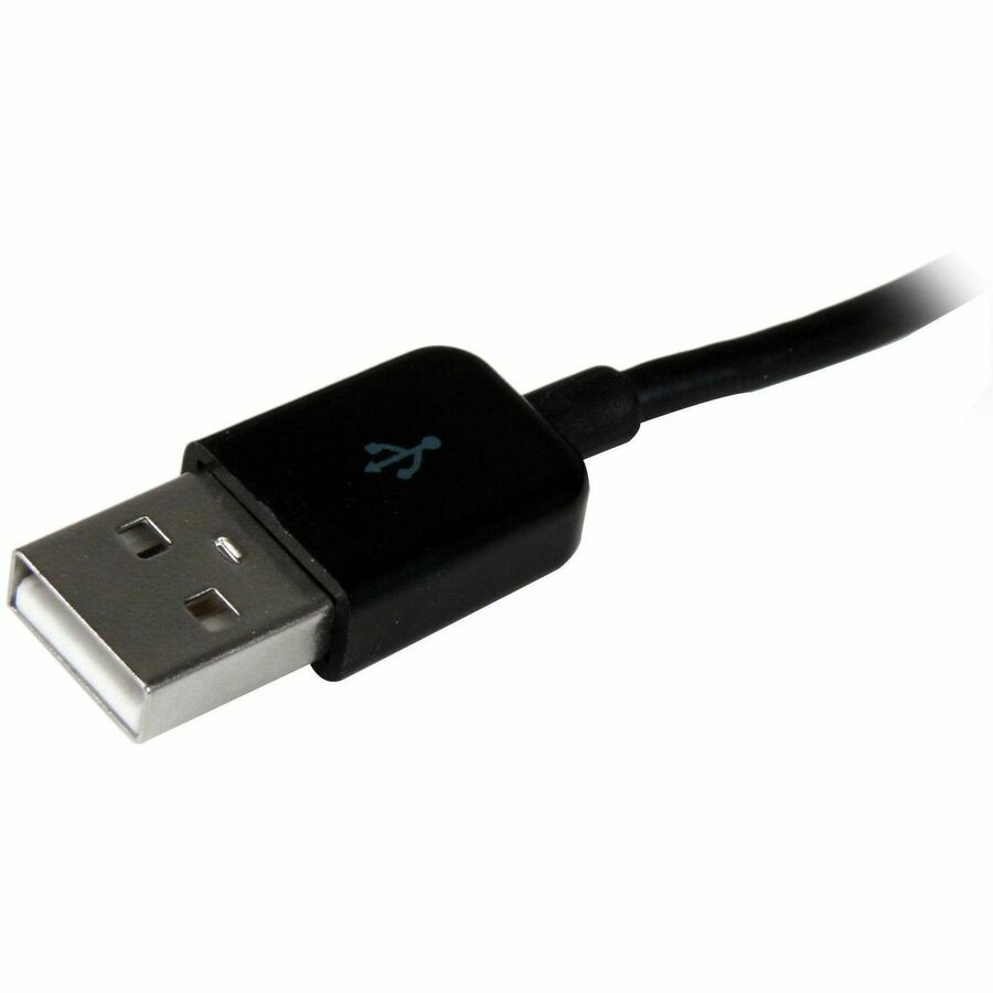 252306455.jpg