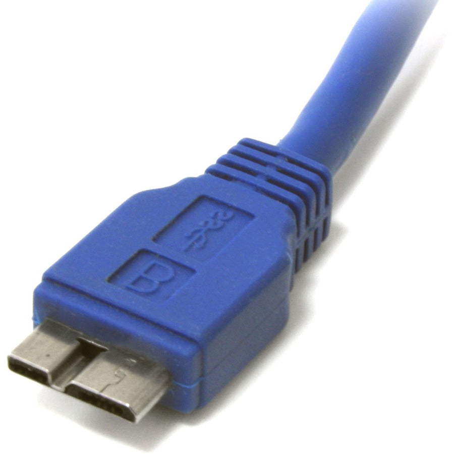 252320556.jpg