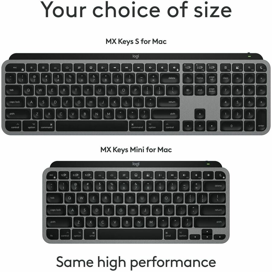 252337454.jpg