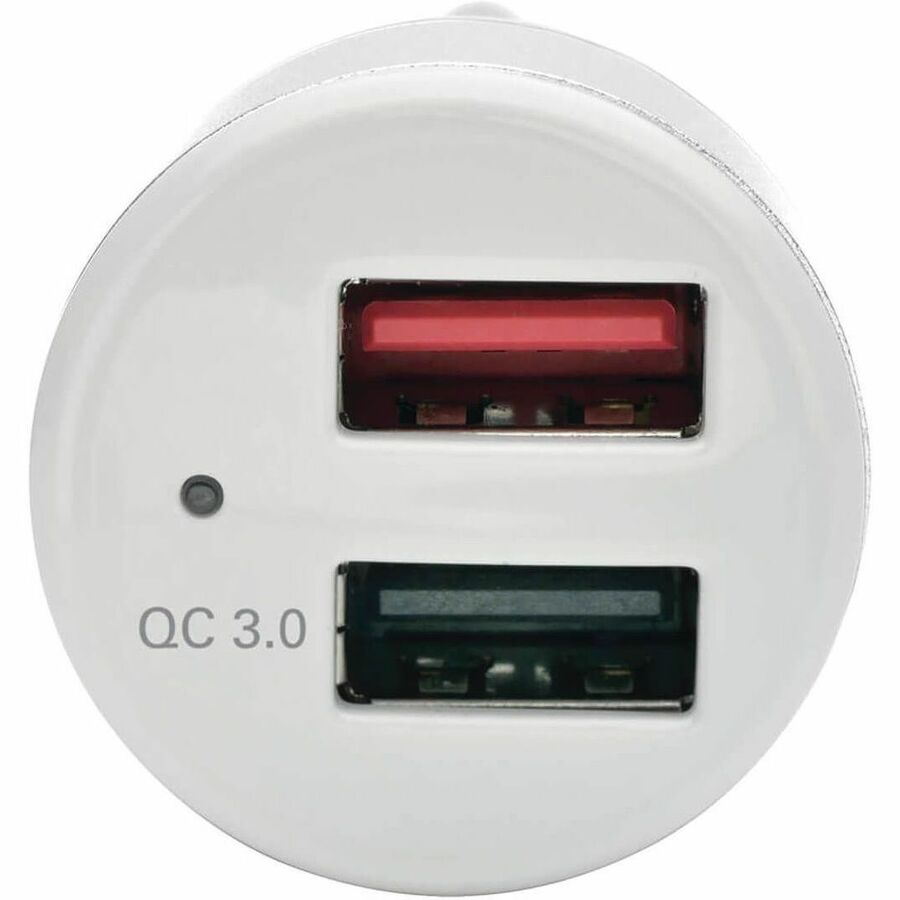 252355011.jpg