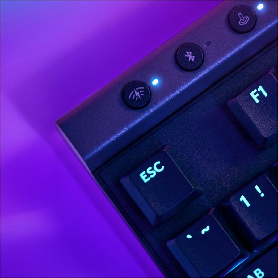 252368810.jpg