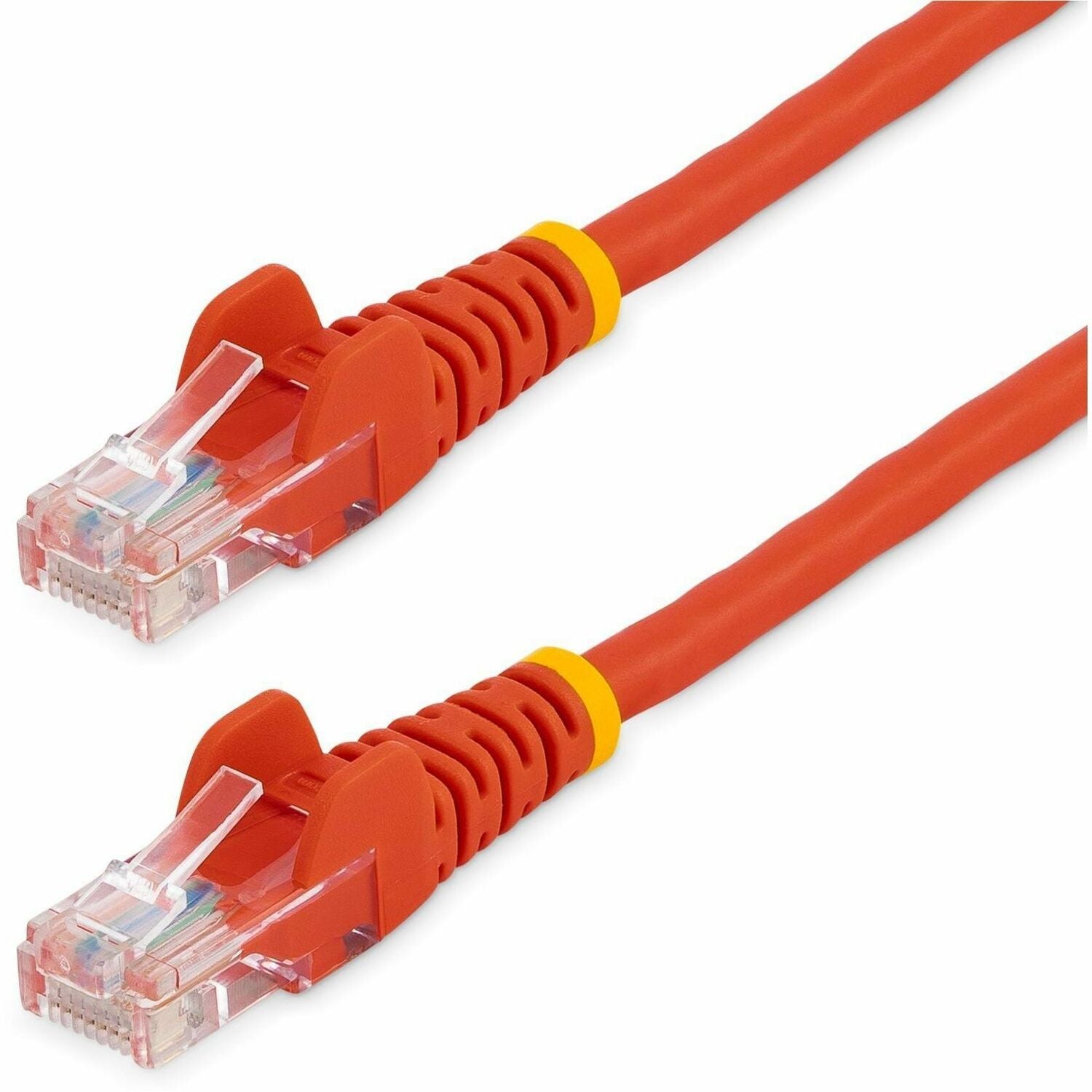 259439238.jpg