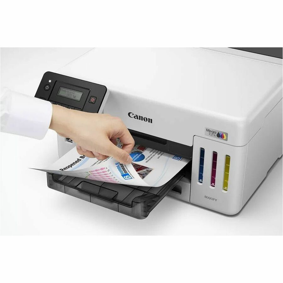 261533971.jpg