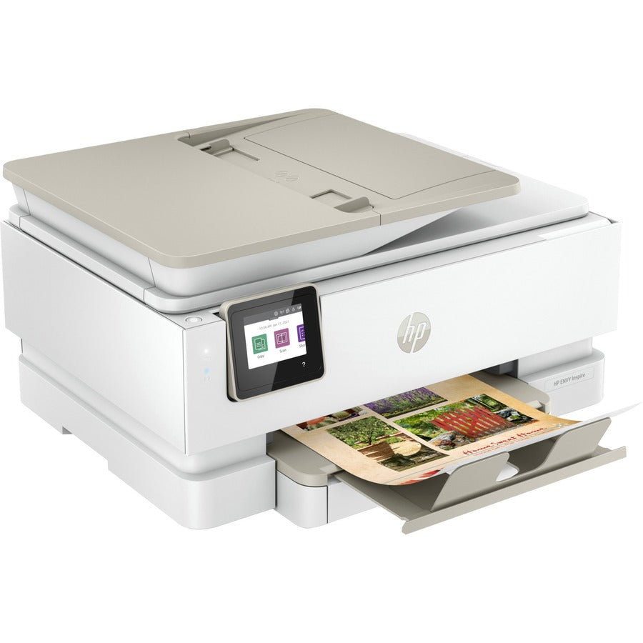 261732483.jpg