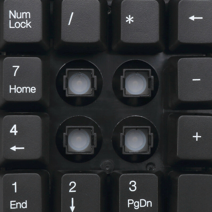 262442140.jpg