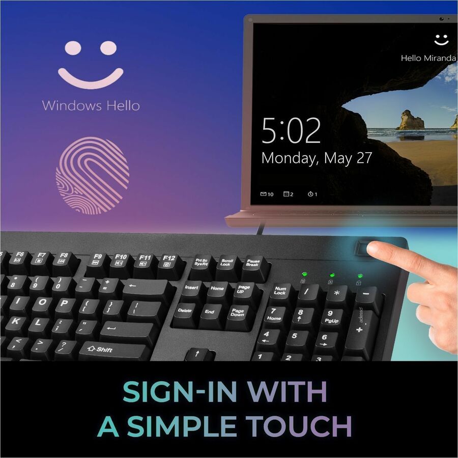 262446697.jpg