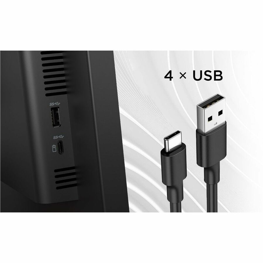 262449110.jpg