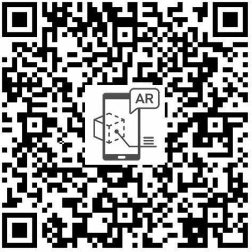 297214169.jpg