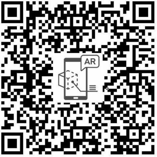 297214484.jpg