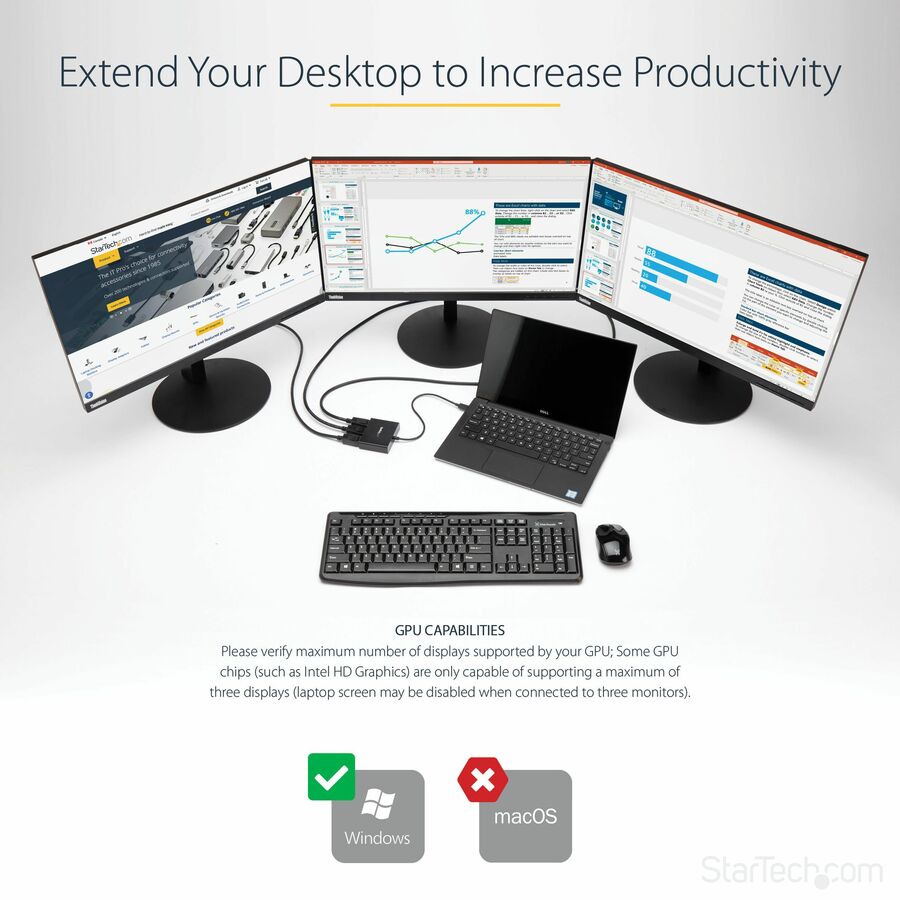 252296103.jpg
