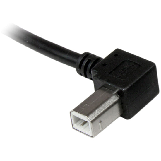 252297780.jpg