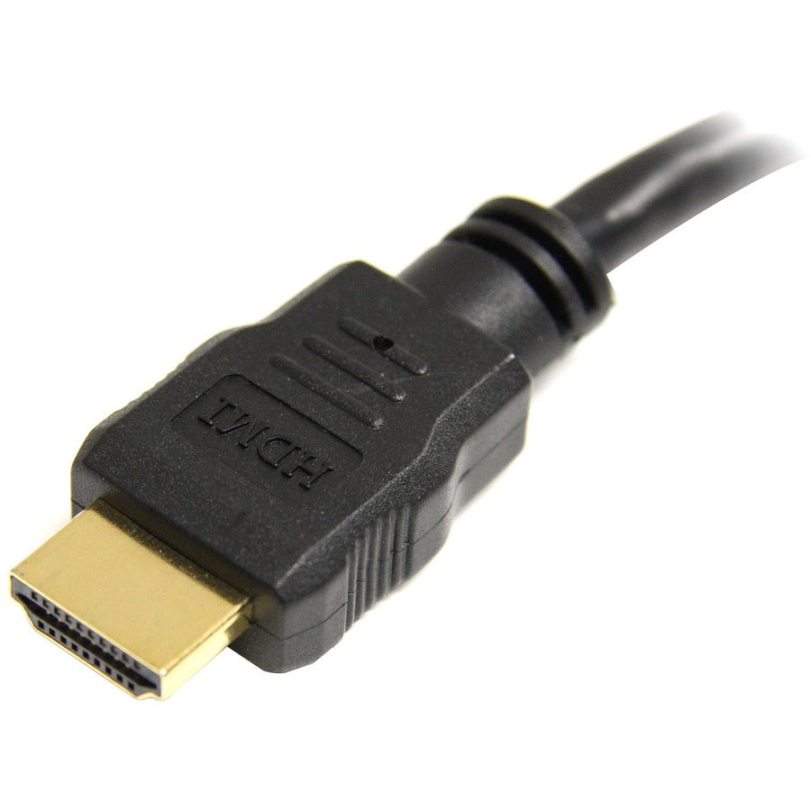 252298637.jpg
