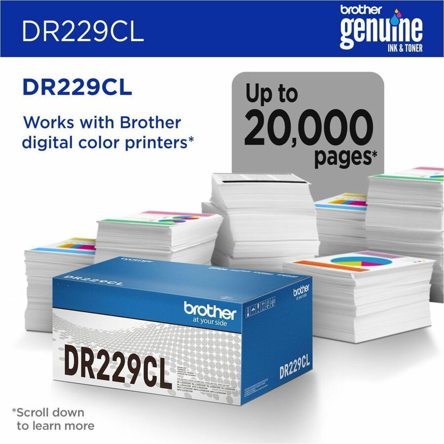 252326303.jpg