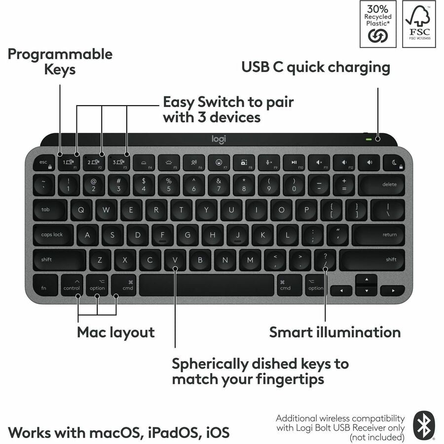 252337448.jpg