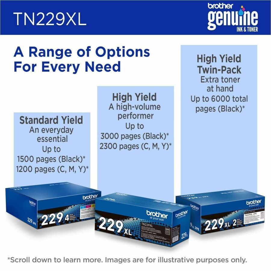 252344092.jpg