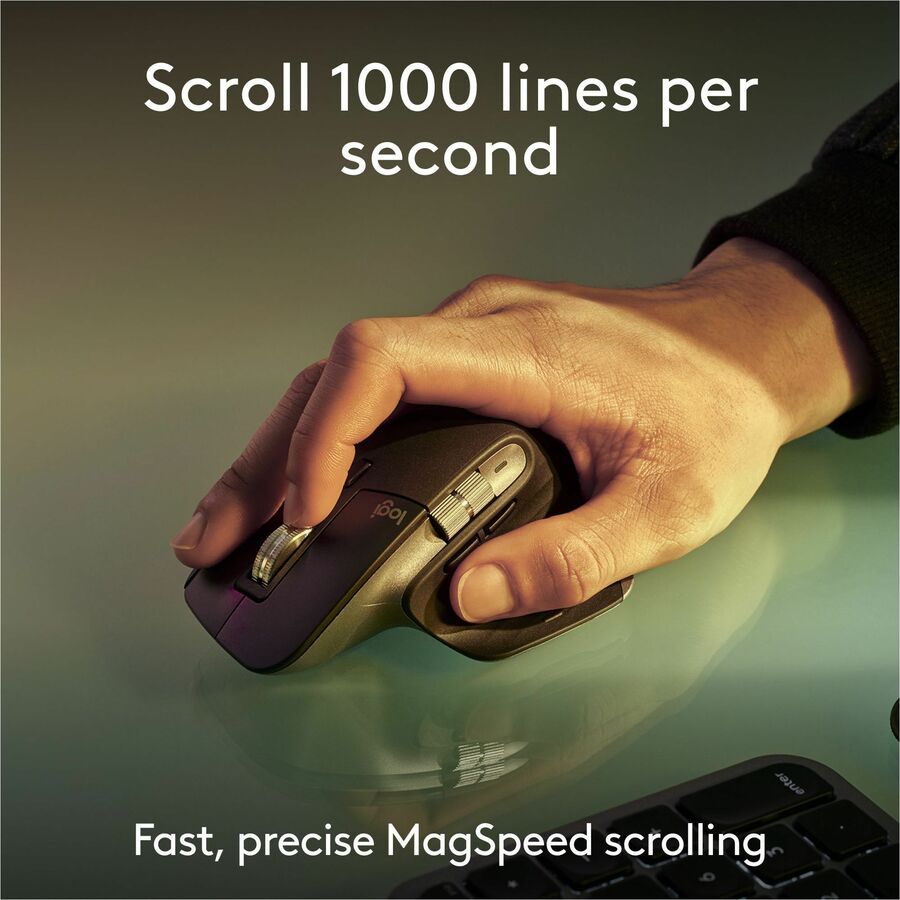 252358288.jpg