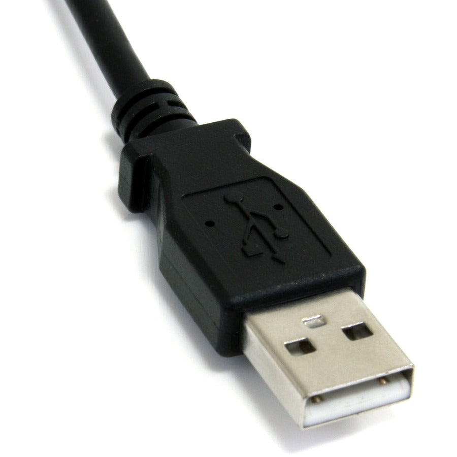 252358662.jpg