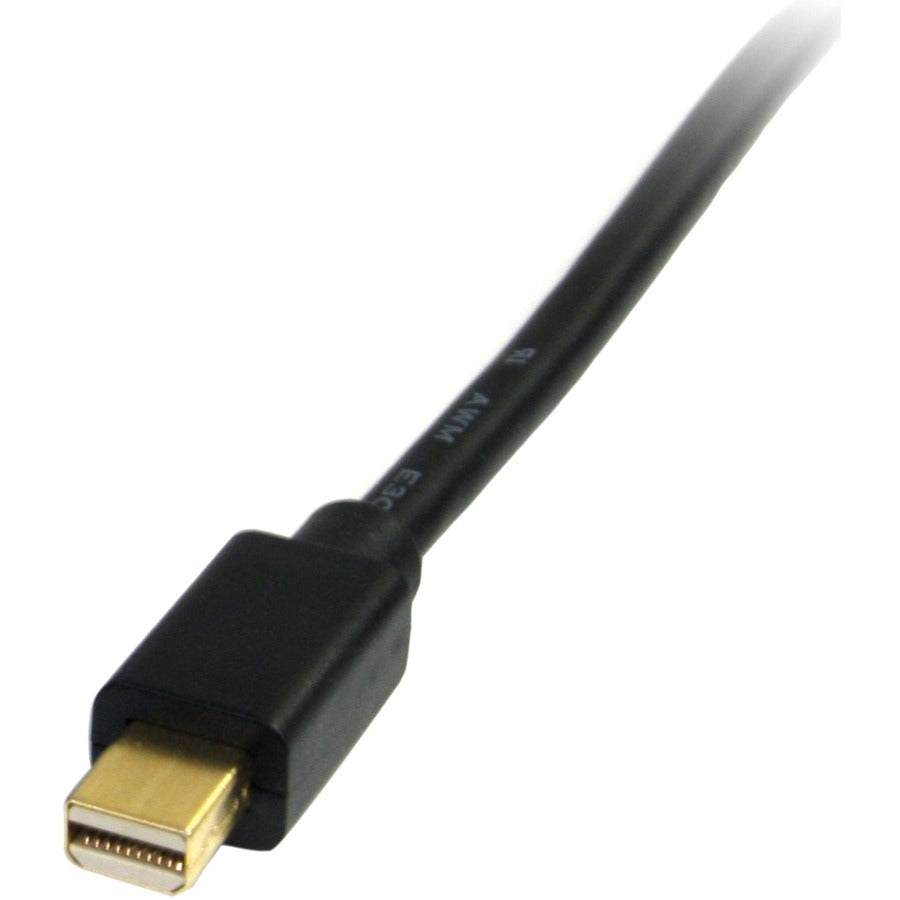 252361020.jpg