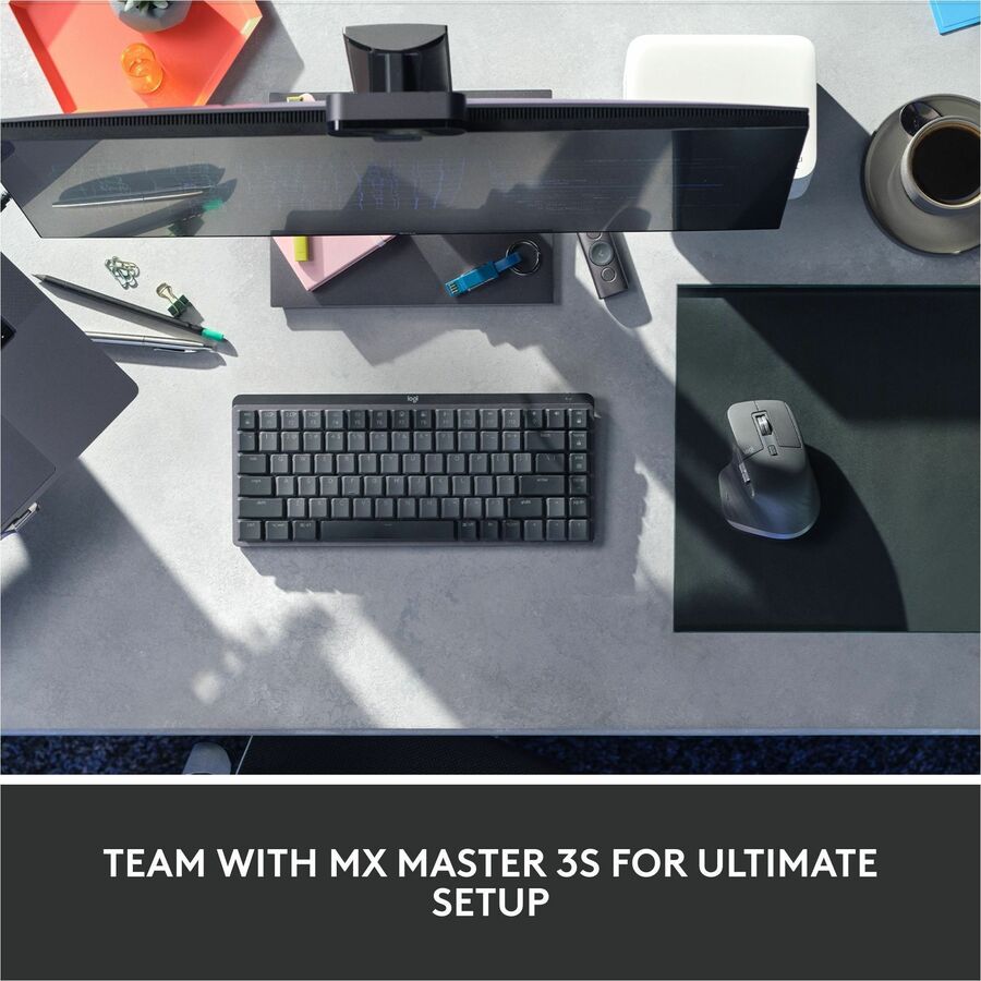 252365073.jpg