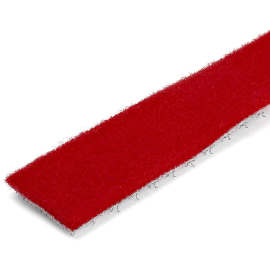 252366065.jpg