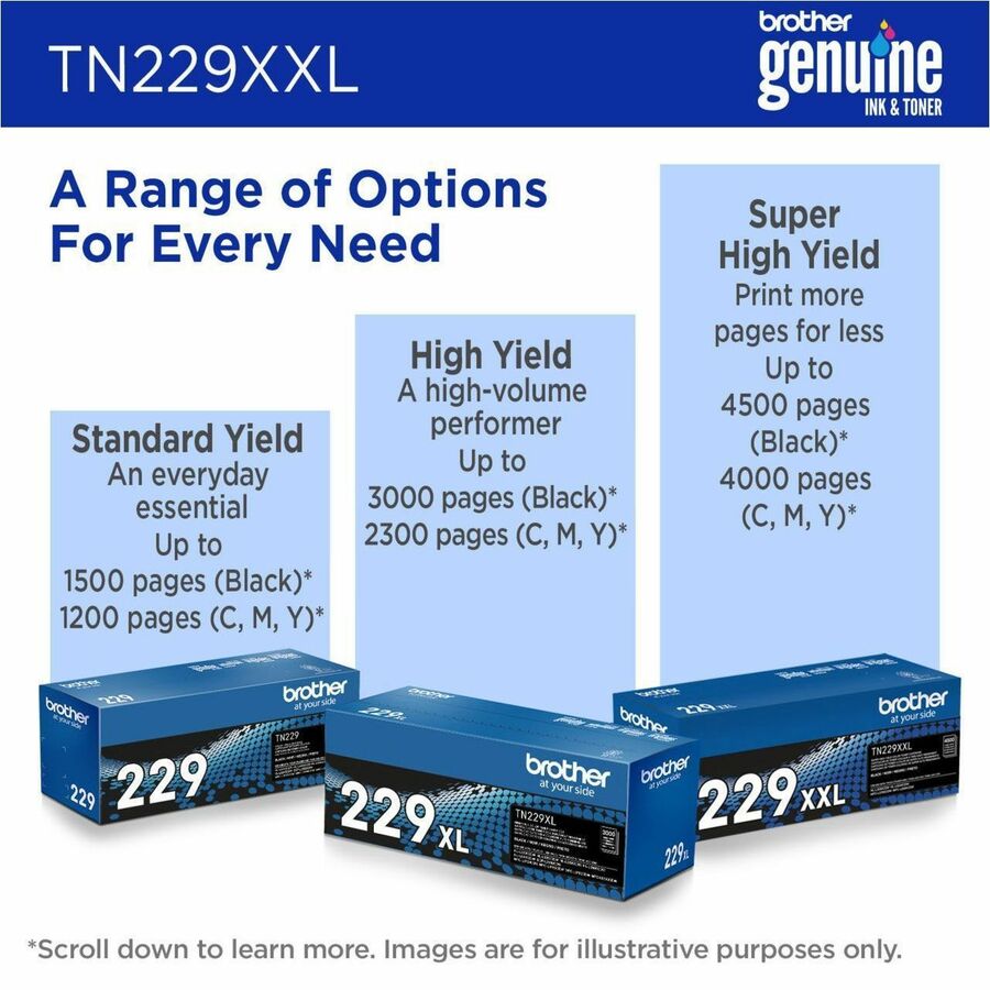 252368226.jpg