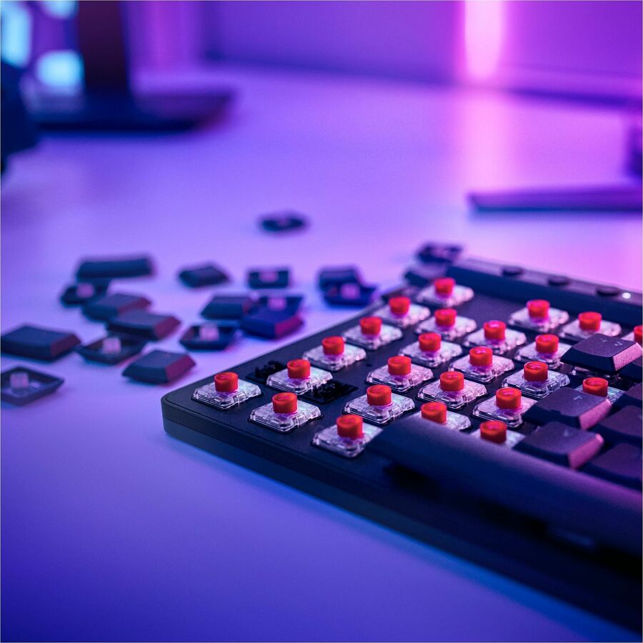 252368812.jpg