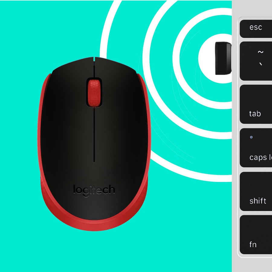 252373080.jpg