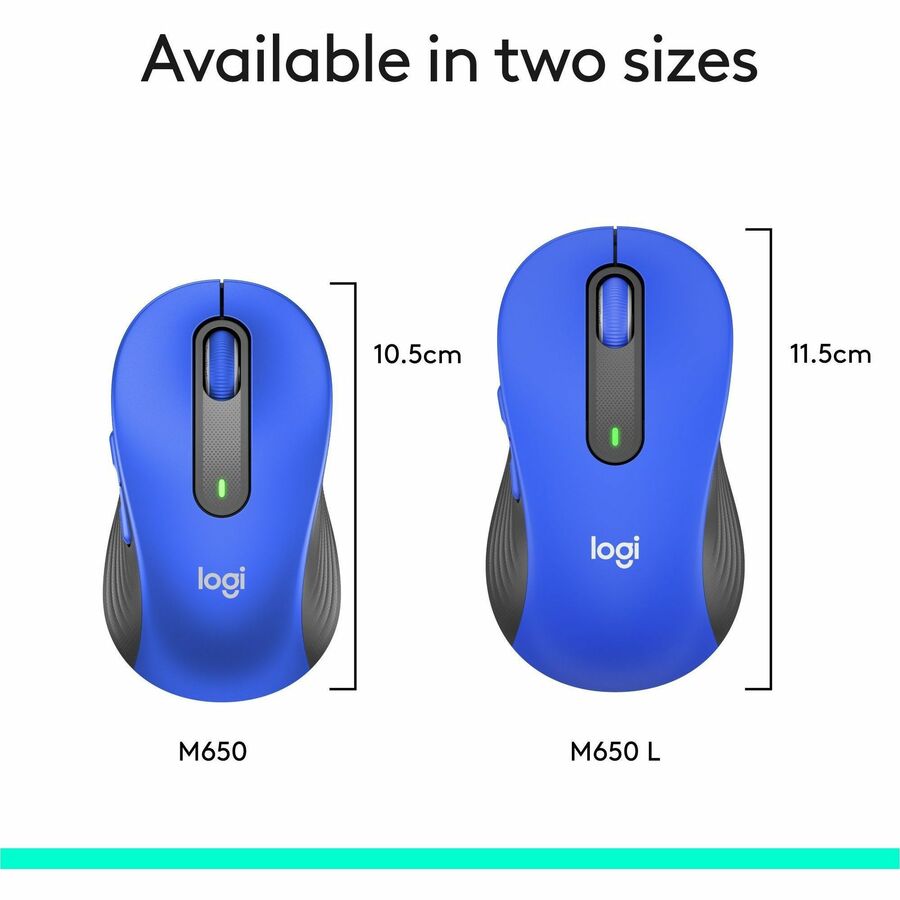 252402377.jpg