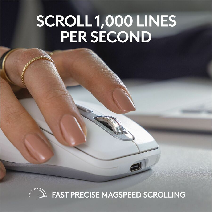 252404249.jpg