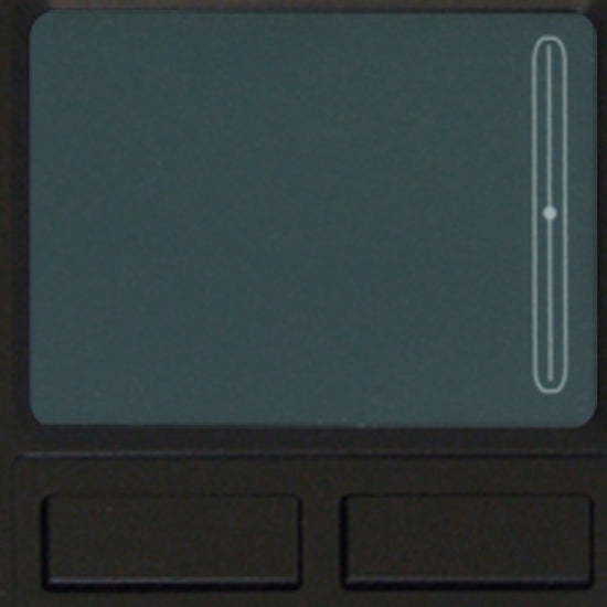 262441716.jpg