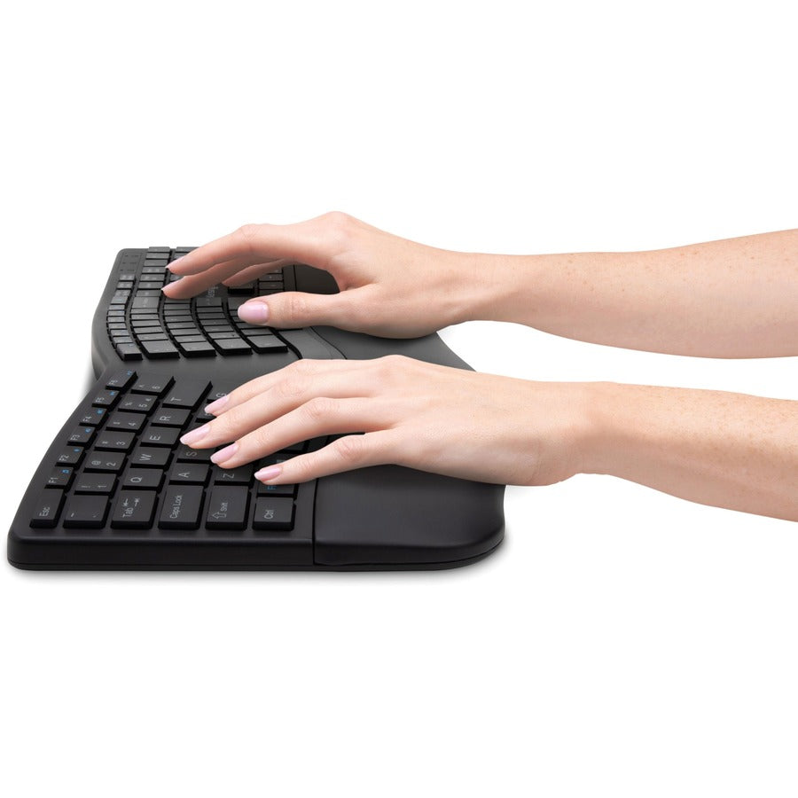 262441750.jpg