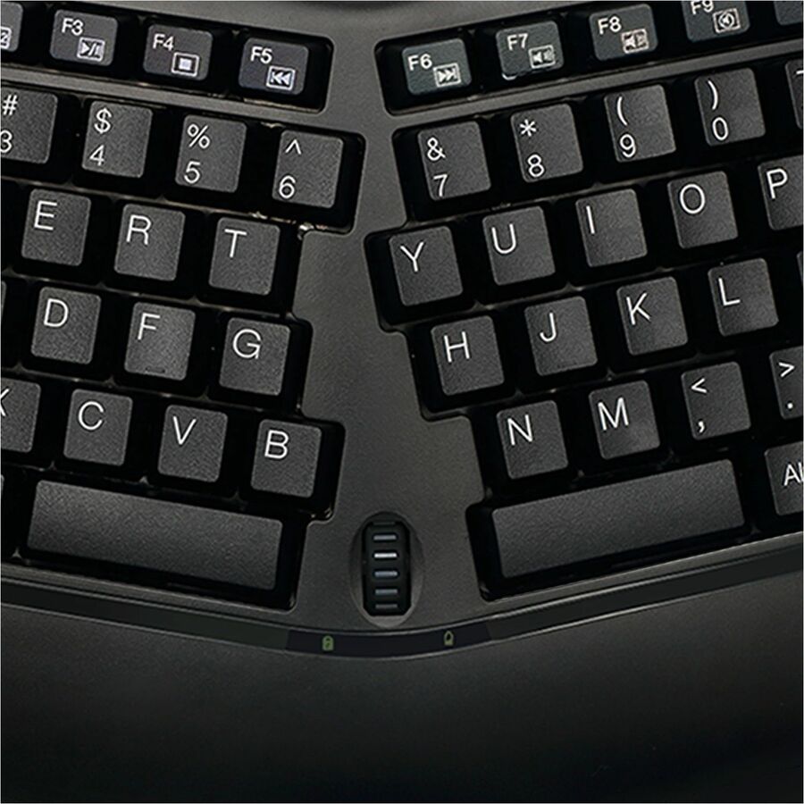 262441769.jpg