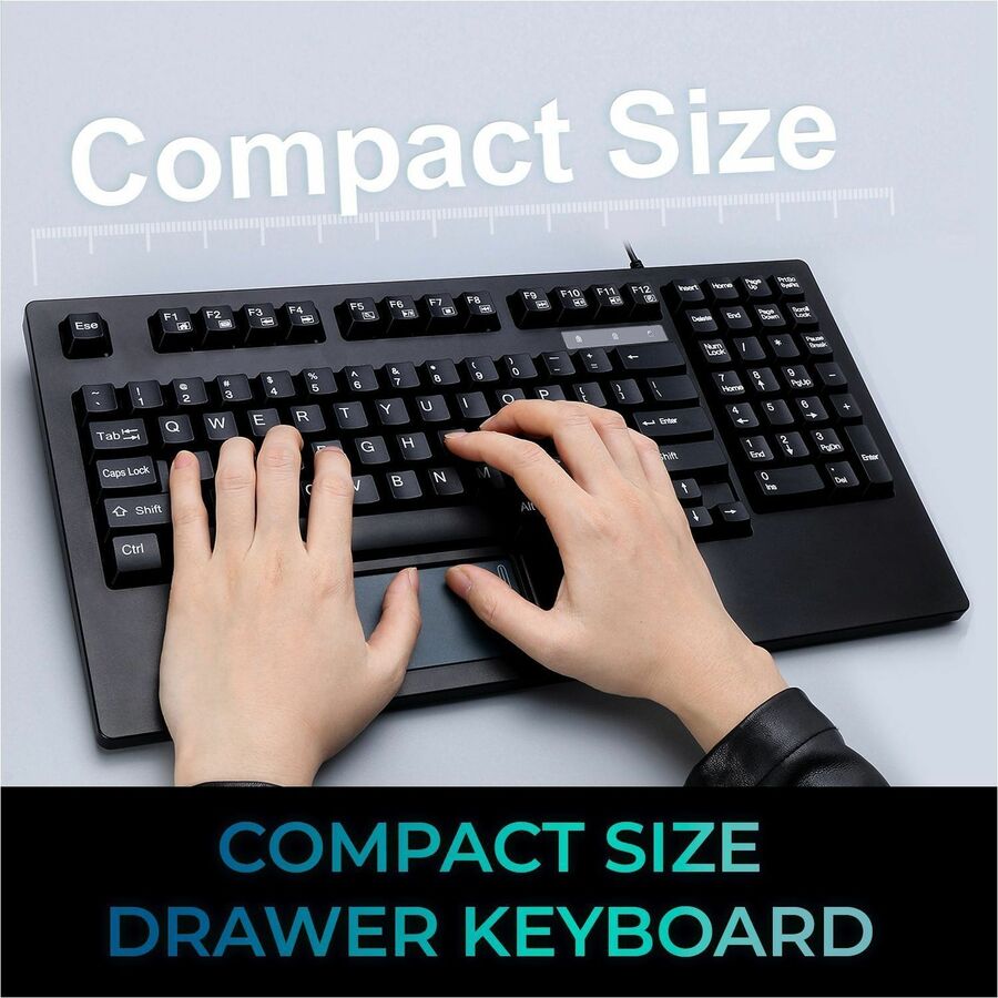 262442000.jpg