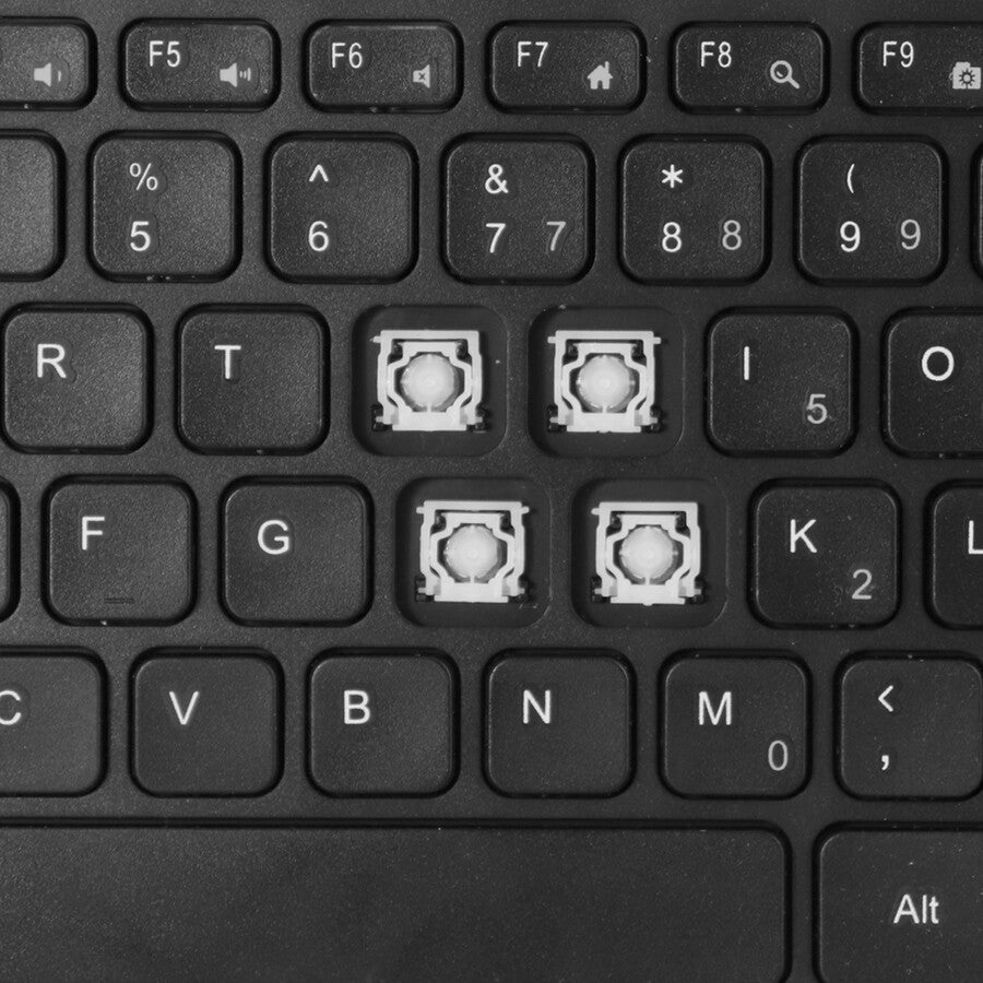 262442030.jpg