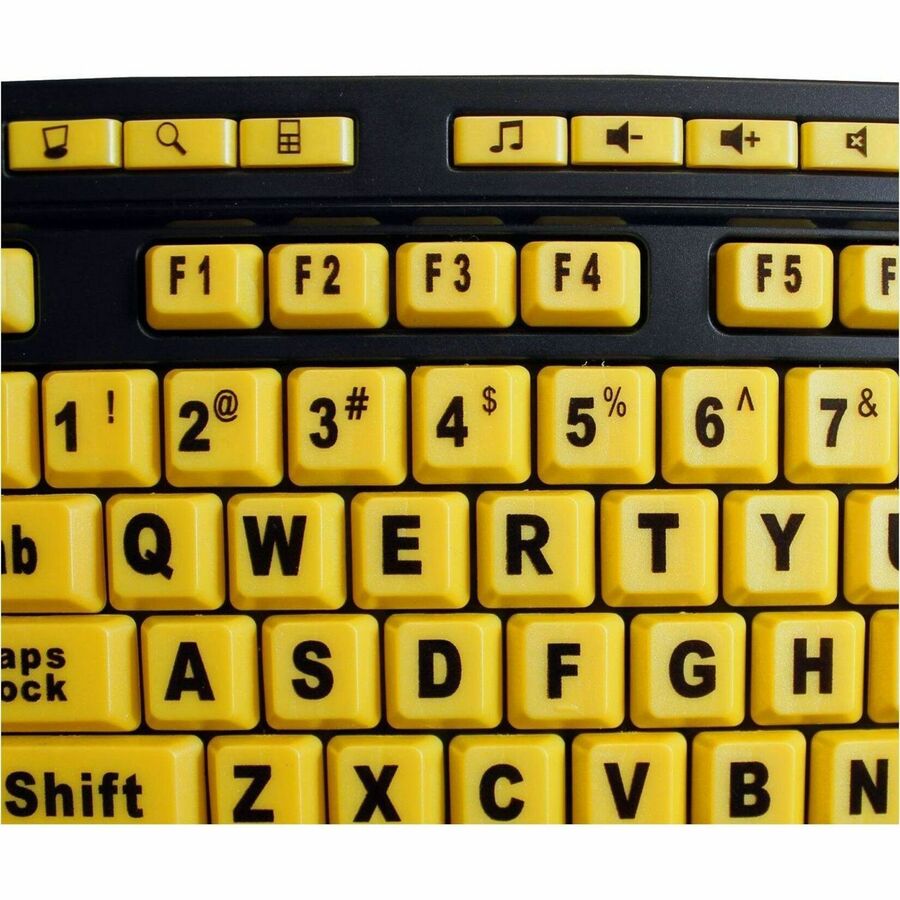 262442038.jpg