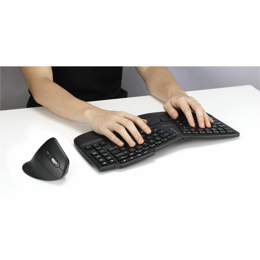 262446146.jpg