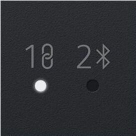 262446319.jpg