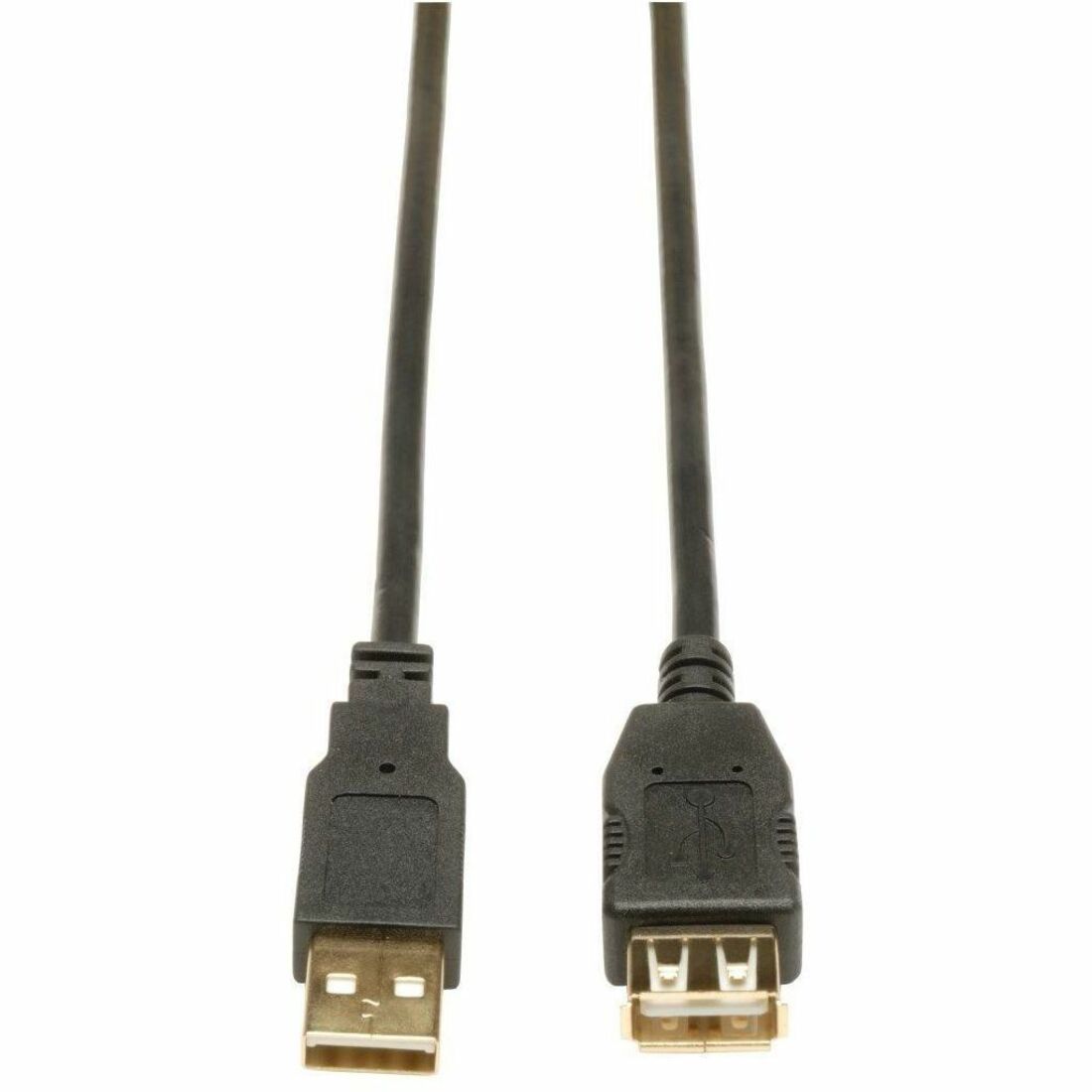 278015176.jpg