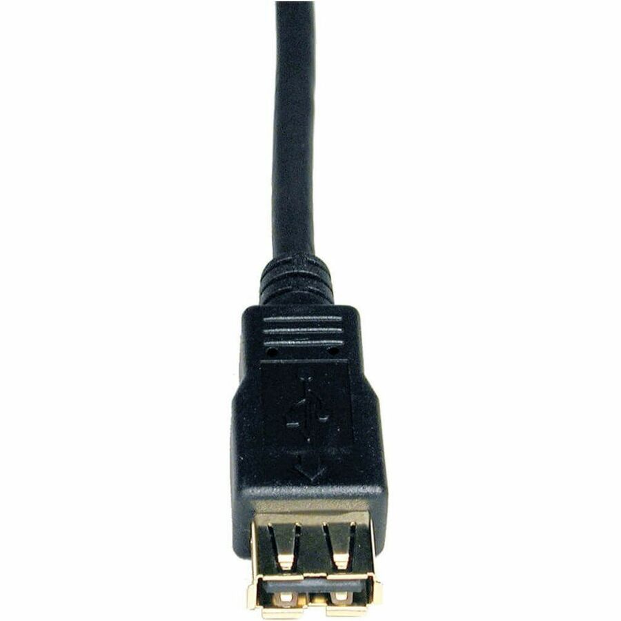 278015178.jpg
