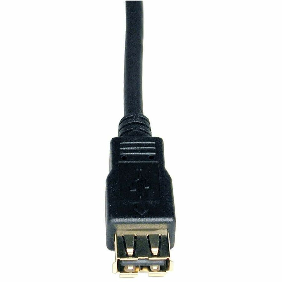 278016829.jpg