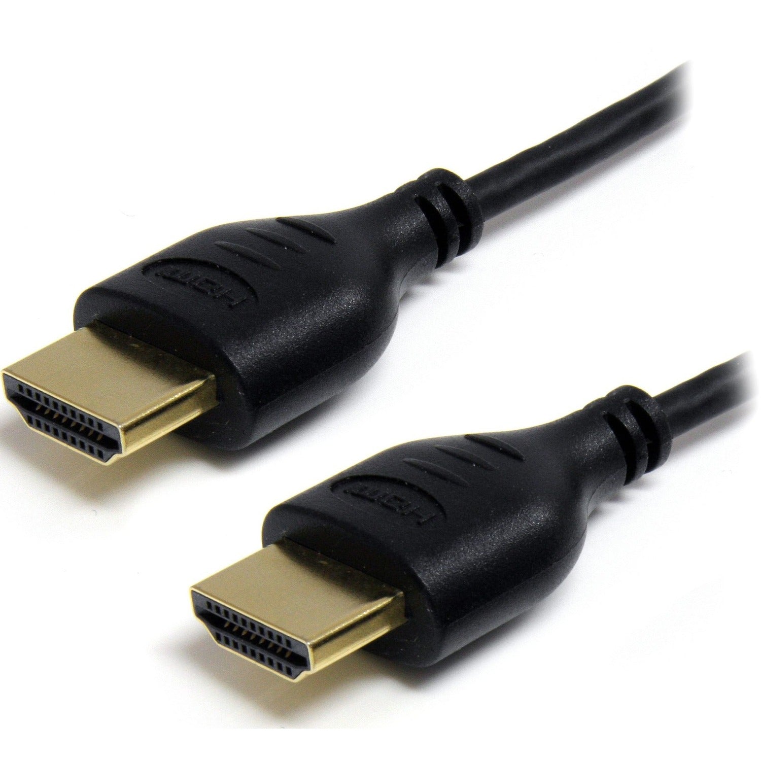 278019939.jpg