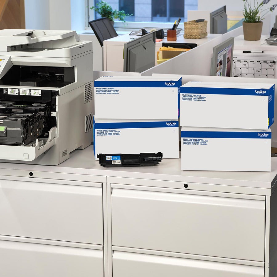 288080595.jpg